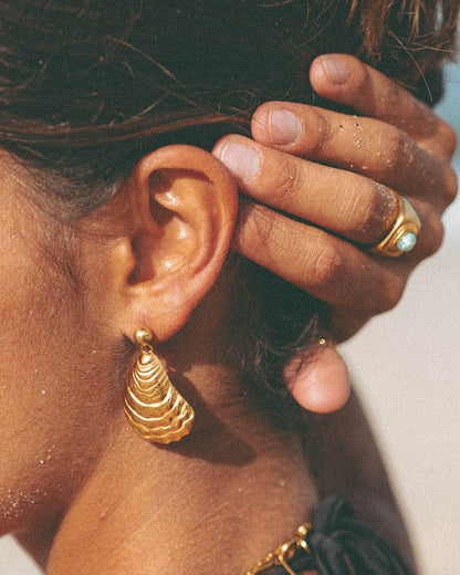 Oyster shape earring 