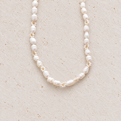 Seaside Daisy - Necklace